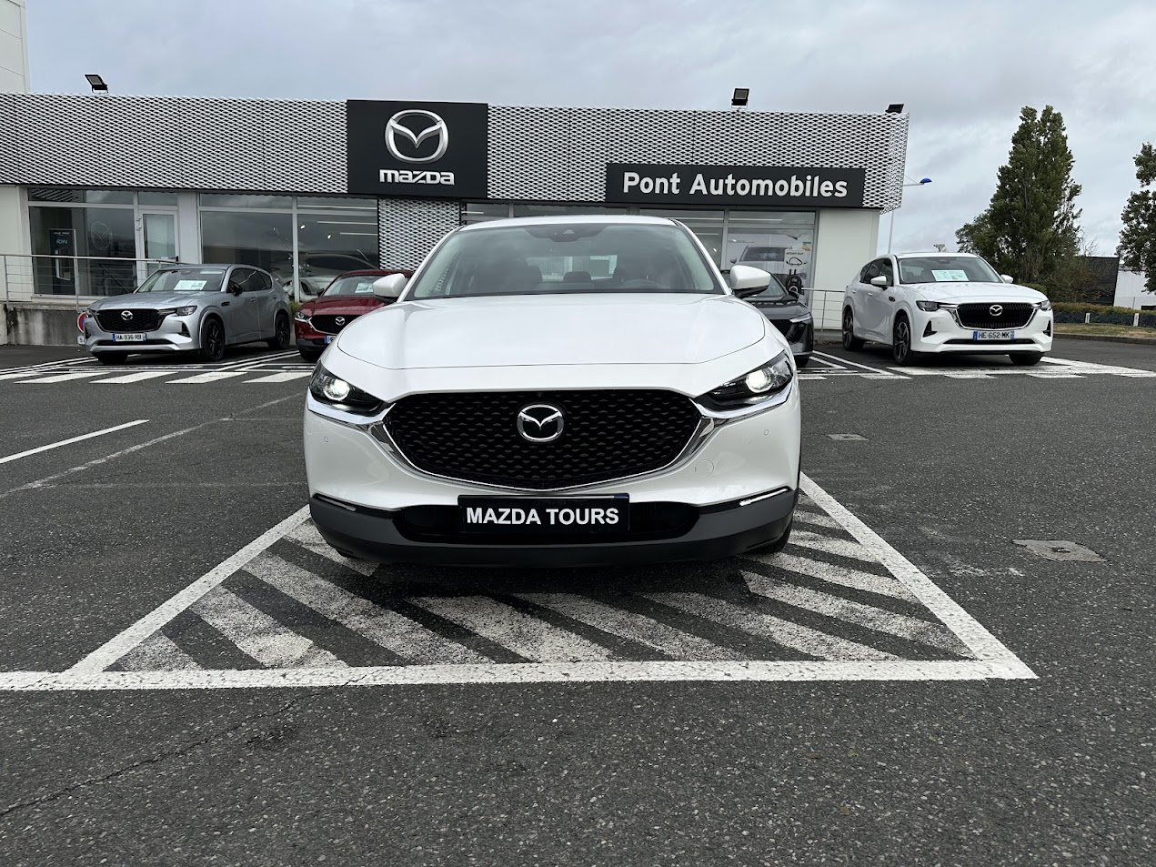 mazda - Visuel 1
