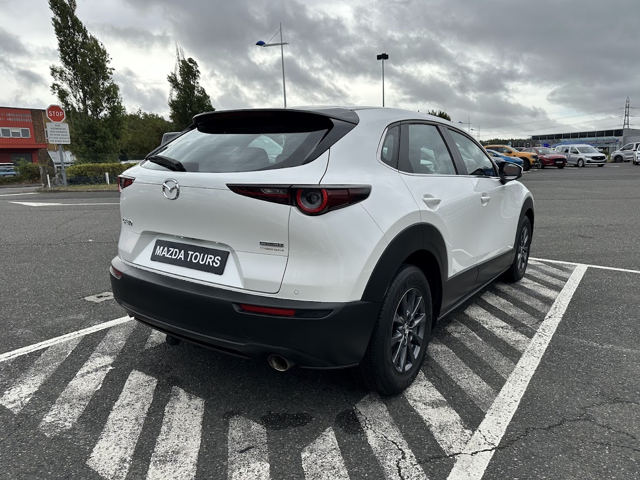 mazda - Visuel 16